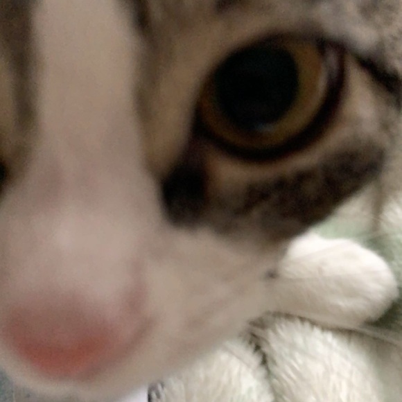 Meet your Posher, Steph - Picture 1 of 1